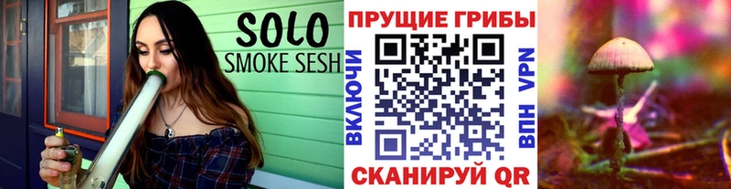 shop какой сайт купить наркотики сайты Александров Псилоцибиновые грибы прущие грибы